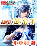 超级黄金手章节列表