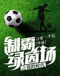 制霸绿茵场之我的时代章节列表