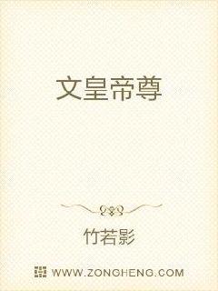 文皇帝尊章节列表