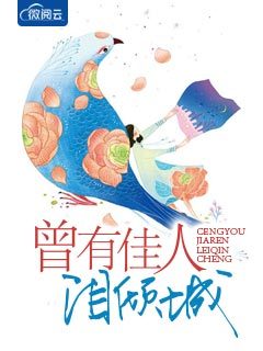 曾有佳人泪倾城章节列表