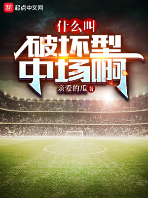 什么叫破坏型中场啊章节列表