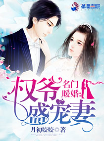 名门暖婚之权爷追妻攻略章节列表