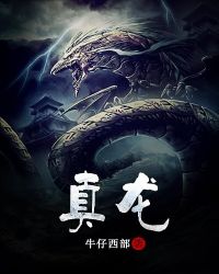 真龙章节列表