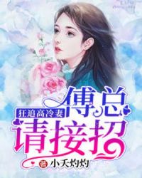 狂追高冷妻：傅总请接招章节列表