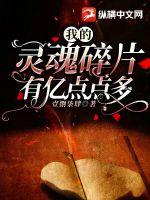 我的灵魂碎片有亿点点多章节列表