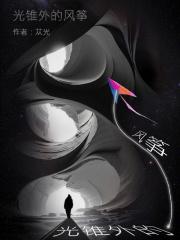 光锥外的风筝章节列表