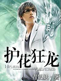 护花狂龙章节列表
