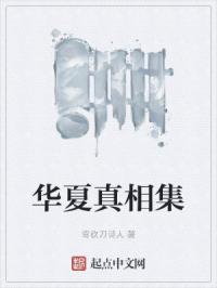 华夏真相集章节列表