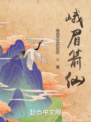 峨眉箭仙章节列表