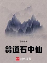 贫道石中仙章节列表