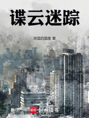 谍云迷踪章节列表