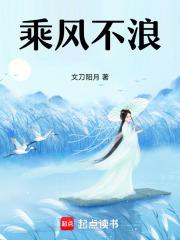 乘风不浪章节列表