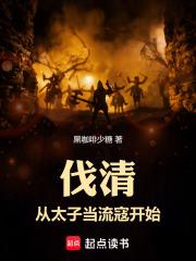 伐清：从太子当流寇开始章节列表