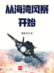 从海湾风暴开始章节列表