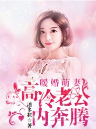 暖婚萌妻：高冷老公内奔腾章节列表