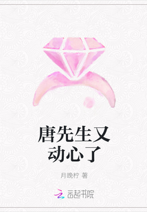 唐先生又动心了章节列表