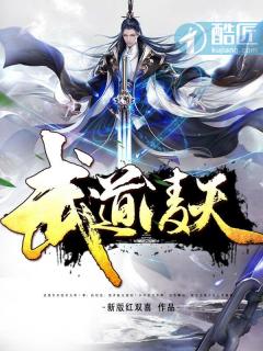 武道凌天章节列表