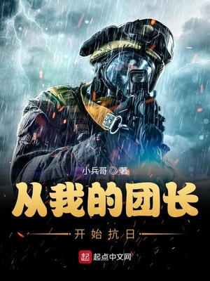 从我的团长开始抗日章节列表