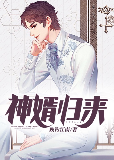 神婿归来章节列表